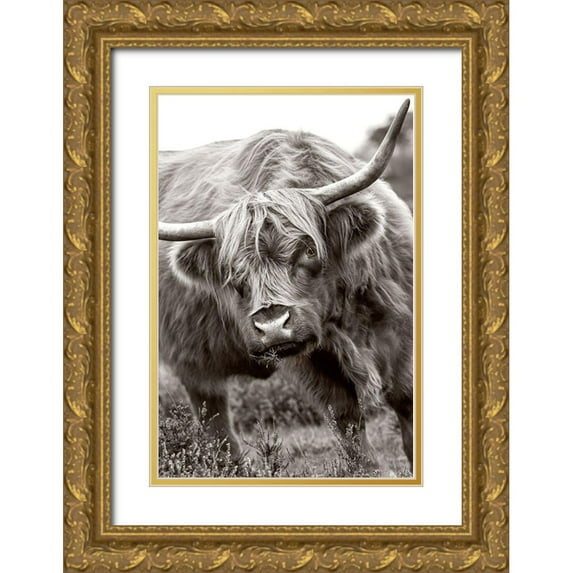 Parker, Jacky 13x18 Gold Ornate Wood Framed with Double Matting Museum Art Print Titled - The Bull