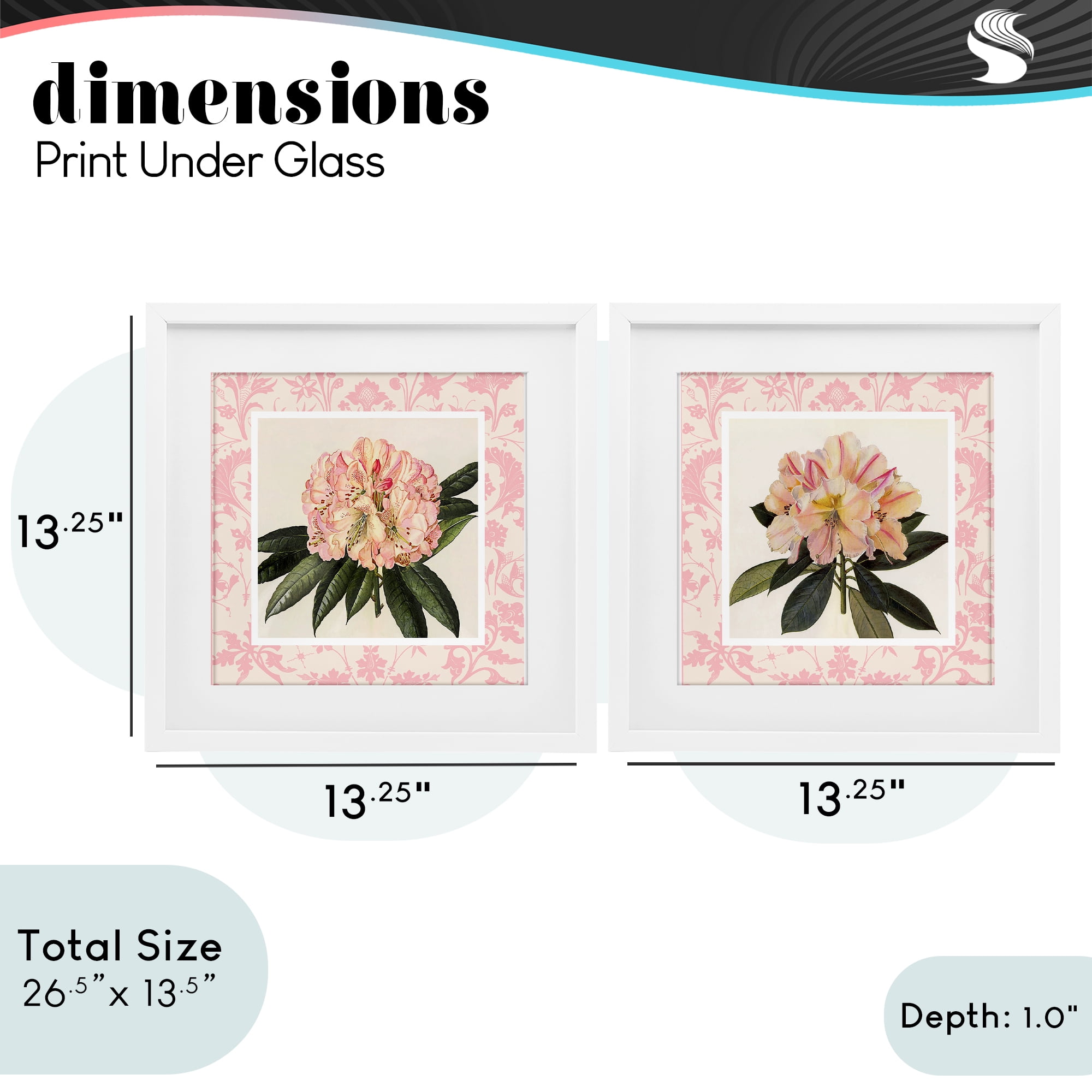 Stupell Industries Pink Vintage Pattern Botanicals 2 Piece White Framed Print Under Glass Set, design by Livi Finn