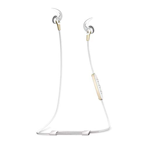 Jaybird FREEDOM 2 In-Ear Wireless Bluetooth Sport Headphones with SpeedFit - Tough All-Metal Design - Gold (Renewed)