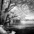 thumbnail image 2 of Alan Hausenflock 4x24 White Modern Wood Framed Wall Art Titled - Spring on the River Square I, 2 of 5