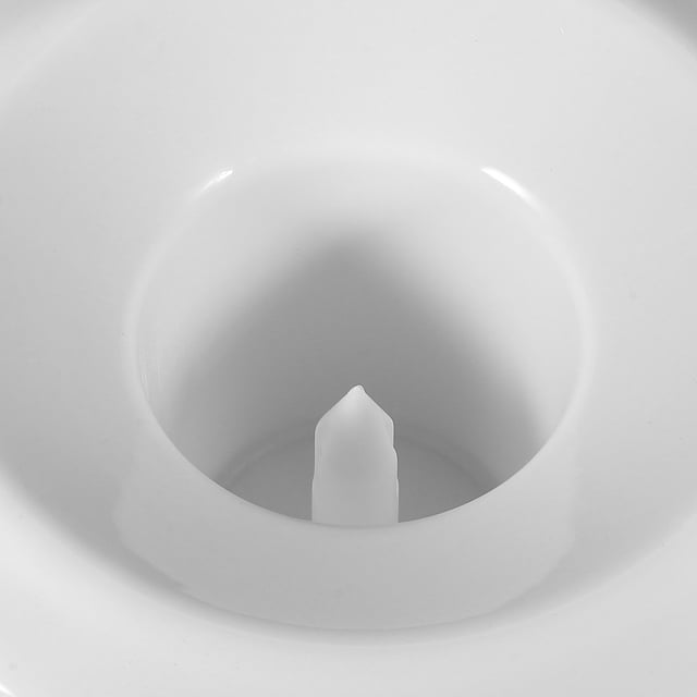 Raindrops Soupape de Remplacement pour Distributeur d'Eau 3 Pcs Plastique Blanc pour Propriétaires