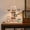 Model 1, variant on Qiyester Wooden Display Stand 3 Tier Table Display Shelf Spice Rack Organizer for Home Office Dorm (Model 1)