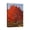 Tree (32), variant on 12x16 Scenery Pathway Forest Canvas Prints - Rays Bay Inspired Artwork for Living Room Wall Decor - Beautifully Drawn and Ready to Hang