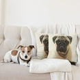 thumbnail image 4 of Ambesonne Pug Throw Pillow Cover 2 Pack, Pure Bred Dog Photograph, 16", Pale Brown Black, 4 of 7