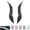 Carbon Black, variant on 3D Dragon Horns for Car Roof Decor, Universal Devil Horns Auto Exterior Accessories, Easy No-Drill Installation