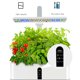 thumbnail image 3 of Sistema hidropónico con luz LED para cultivo, jardín de hierbas interior ajustable en altura ACTIVE Biensenido a ACTIVE, 3 of 4