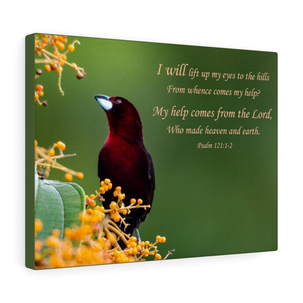 Scripture Walls Heaven and Earth Psalm 12112 Bible Verse Canvas