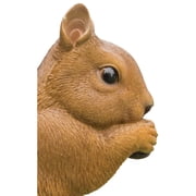 Hi-Line Gift Ltd. Brown Squirrel Eating