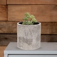 thumbnail image 4 of 4pcs plantas de simulación de bonsai decoraciones plantas de planta comedor escritorio de escritorio adornos, 4 of 8