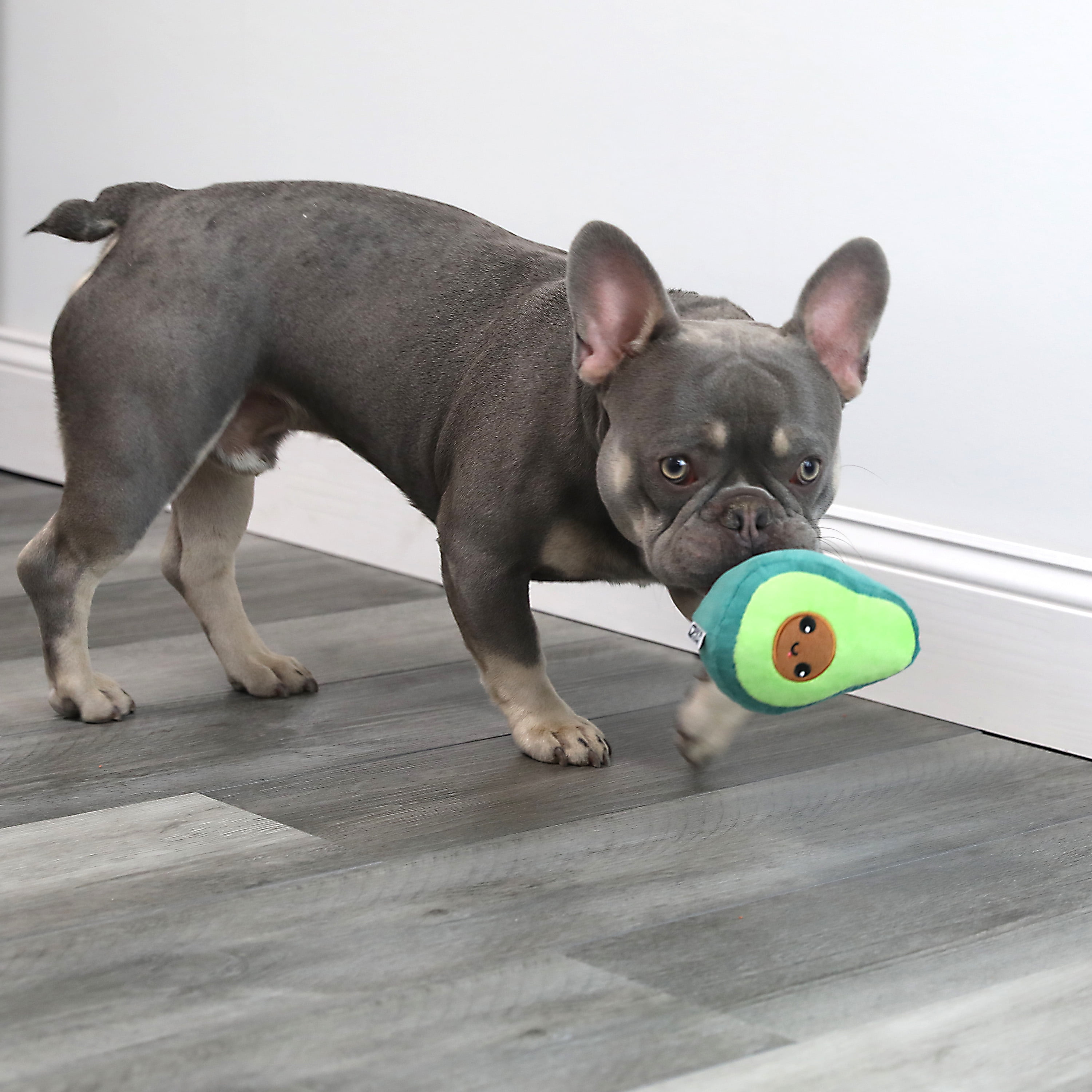 Chewia Avocado Dog Treat-dispensing Toy - Keep Your Pet Active and Healthy