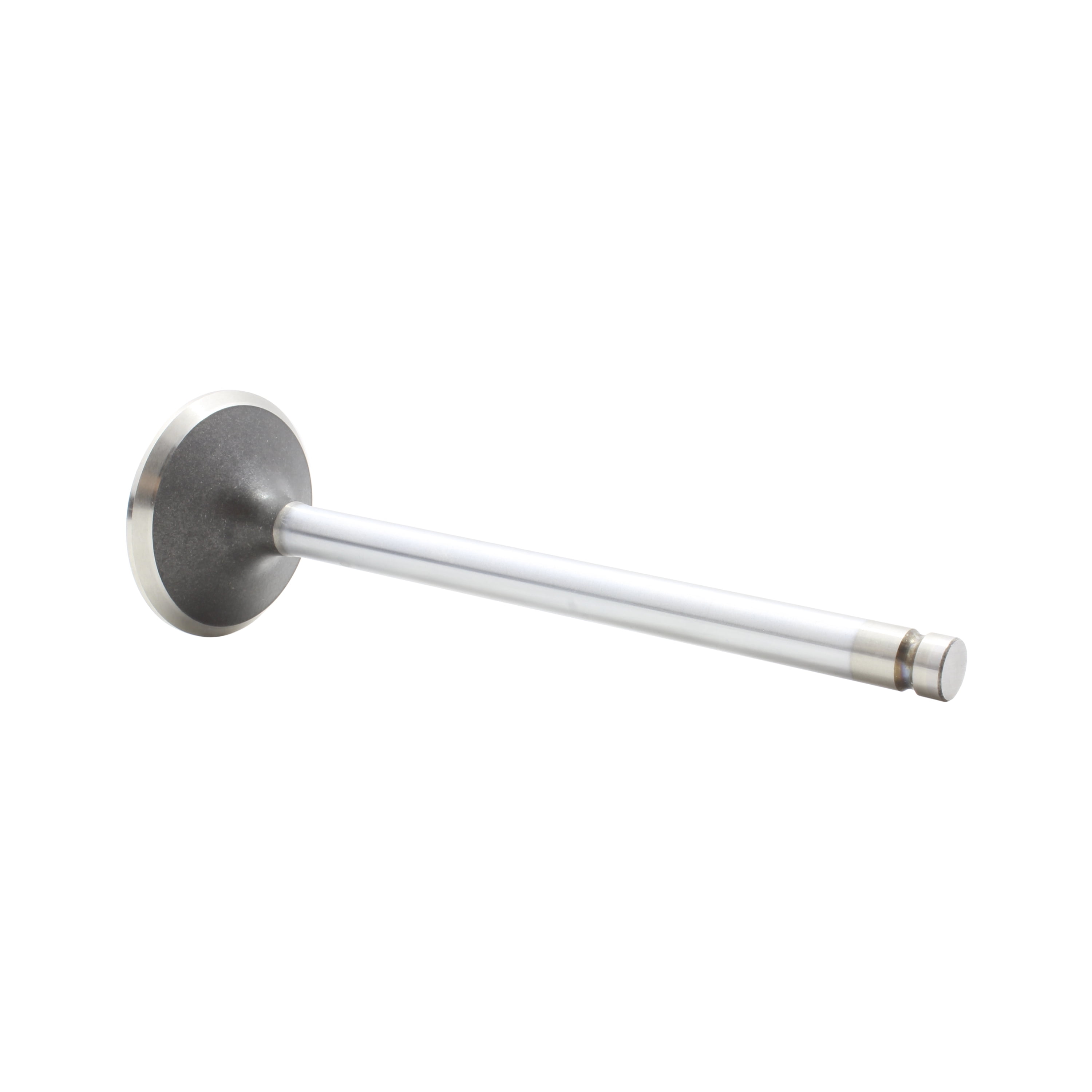 DNJ EV3165 Engine Cylinder Head Valve Train Exhaust Valve