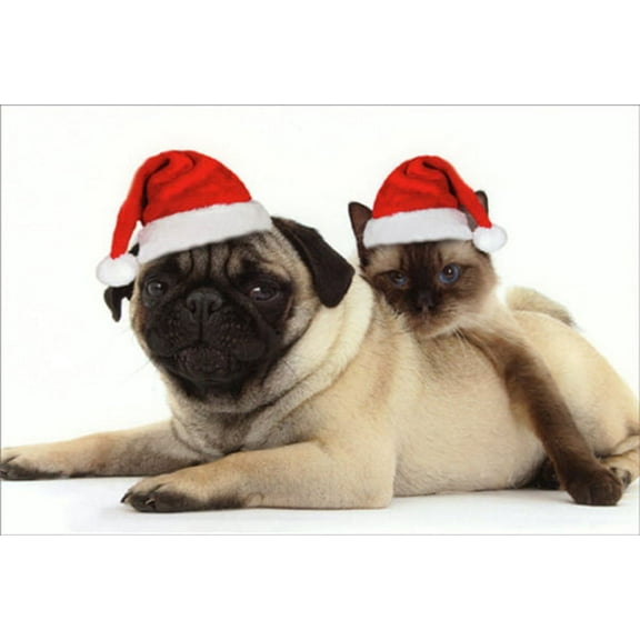 Nobleworks Pug and Cat in Santa Hats Cute Christmas Card (1 card/1 envelope)