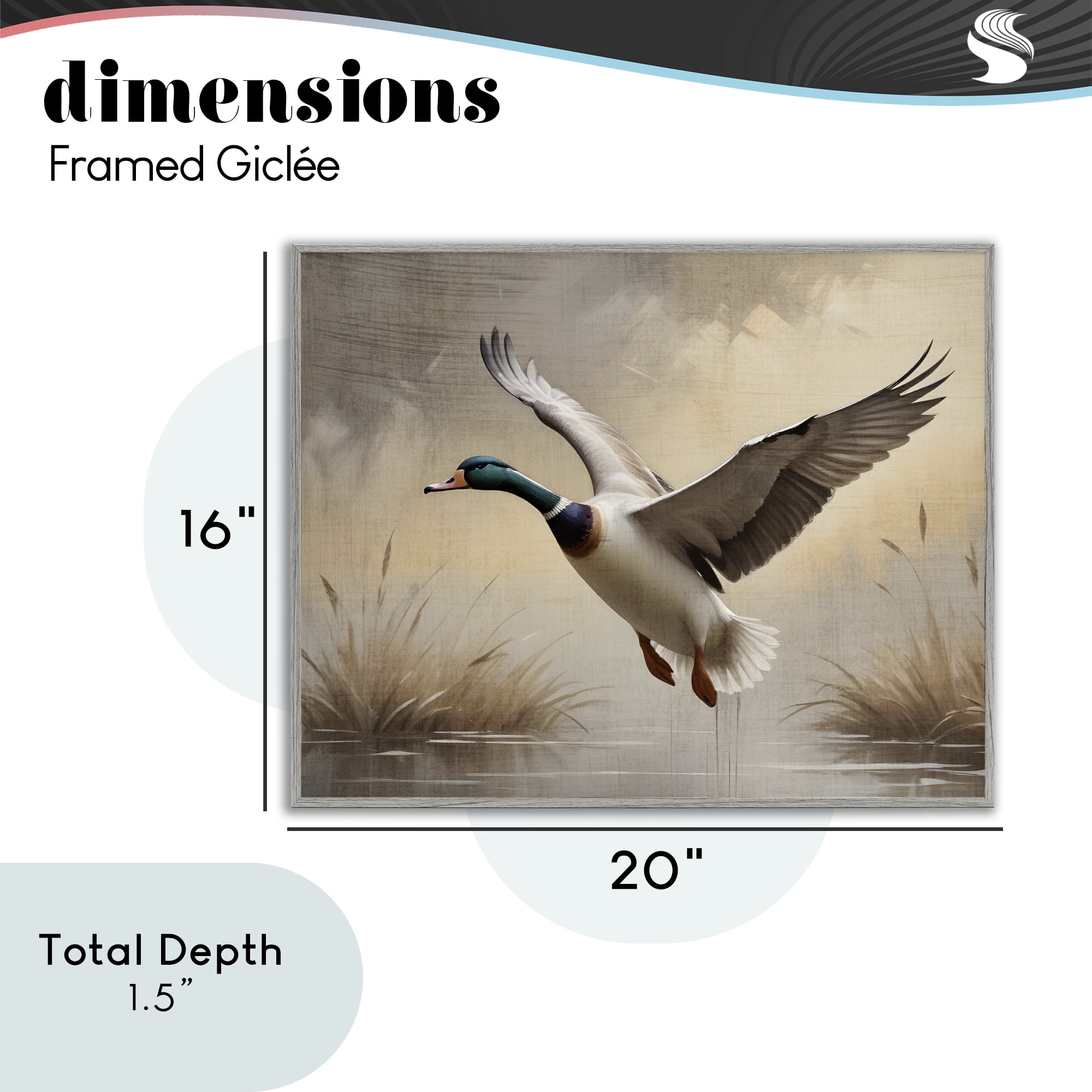 Stupell Industries Gliding Mallard over Wetlands Gray Framed Giclee Art, design by Susan Arnot