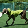 thumbnail image 3 of Methold chaqueta para perros con rayas reflectantes Rosa roja Premium Ropa para mascotas, 3 of 6