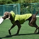 thumbnail image 4 of Methold Chaqueta para perros con rayas reflectantes, rayas de alta visibilidad para perros de seguridad, elegante y seco Premium Ropa para mascotas Verde SG, 4 of 6