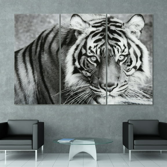 Tiger ABC 36 in x 72 in Mixed Media Art, by Empire Art 3 Count