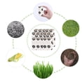 thumbnail image 3 of Bolsas para excrementos para perros perfecl biodegradables dispensador 8 Rollos, 3 of 8