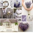 thumbnail image 3 of Flores secas de lavanda Cedar Space, 4 racimos, 3 of 6