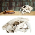 thumbnail image 2 of Resin Skeleton Model Realistic Tiger Skull Head Skull Model Animal Simulation Replica Animal Resin Tiger Skull Interior Decoration Props Ornaments, 2 of 9