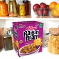 thumbnail image 4 of Kellogg's Raisin Bran Cereal (76.5 oz.), 4 of 7