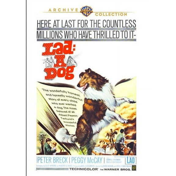 Lad a Dog (DVD), Warner Archives, Drama