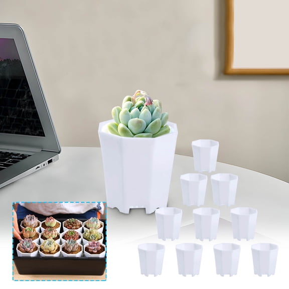 Mini Resin Flower Pots Set of 10, Decorative Planter Containers for Small Plants Cacti Office Desk Home Garden Decor Wedding Party Favors Gardening Supplies