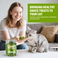 thumbnail image 2 of Cat Grass Treats, Cat Grass For Indoor Cats, Cat Food For Training Rewards Treats, Cat Chew Toys, 2 of 8