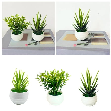 

3 Mini Indoor Green Small Bonsai Potted Potted Green Home Decoration