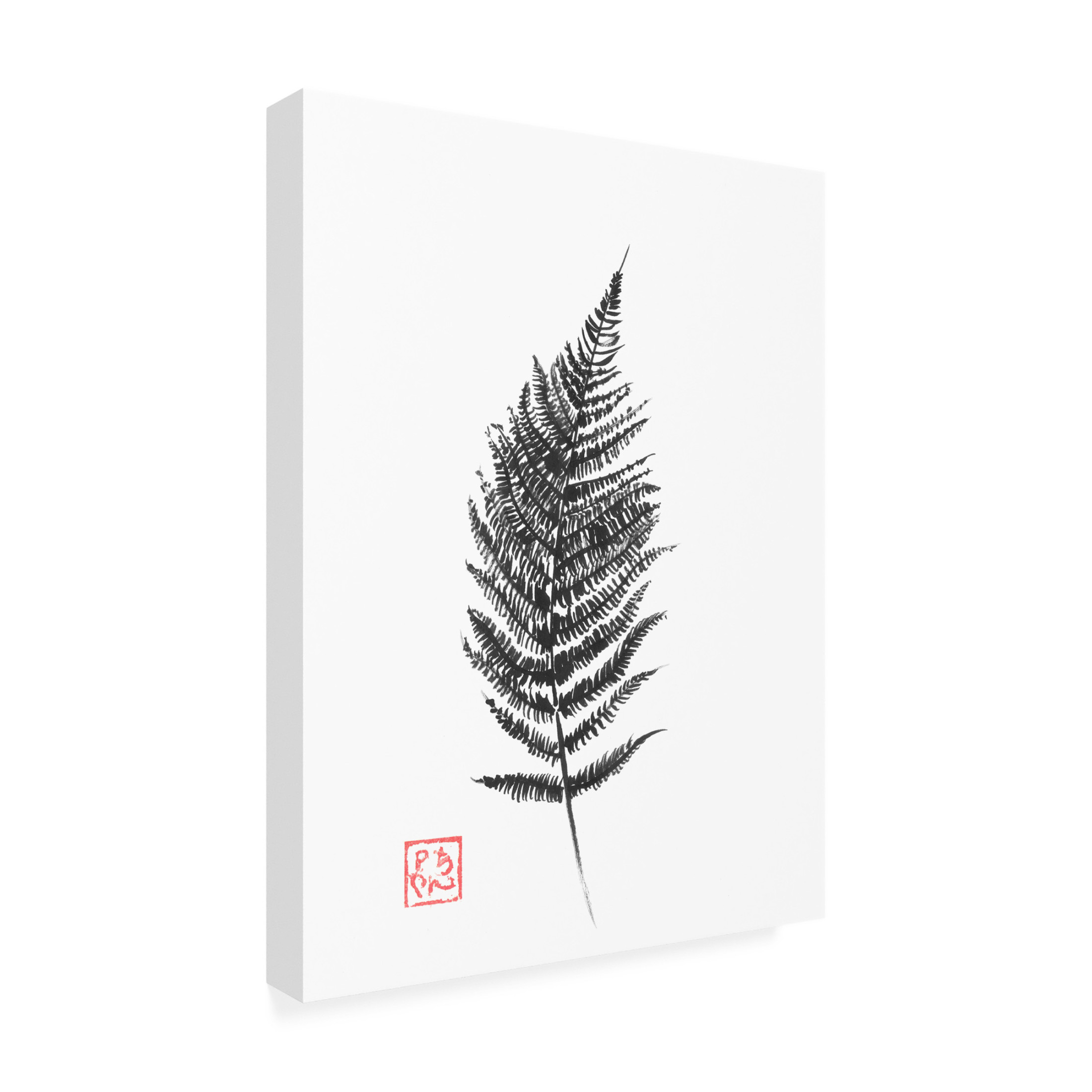 Canvas Wall Art - Pechane 'Fern' Wall Art for Living Room, Bedroom, or Office Décor by Trademark Fine Art - 18 x 24 Inches
