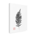 thumbnail image 4 of Canvas Wall Art - Pechane 'Fern' Wall Art for Living Room, Bedroom, or Office Décor by Trademark Fine Art - 24 x 32 Inches, 4 of 4