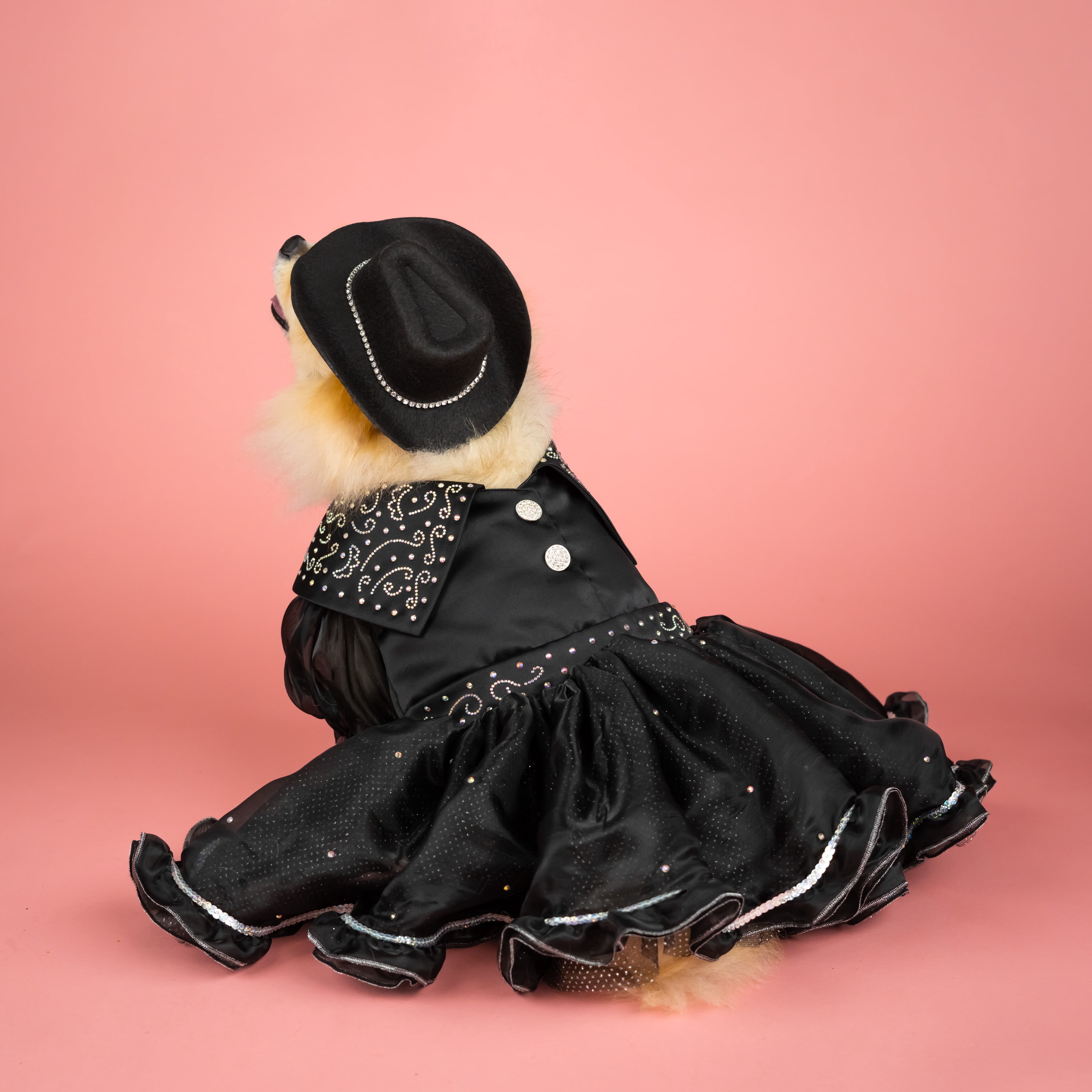 Doggy Parton, Dog and Cat Clothes, Shimmering Evening Pet Dress, Black, XS
