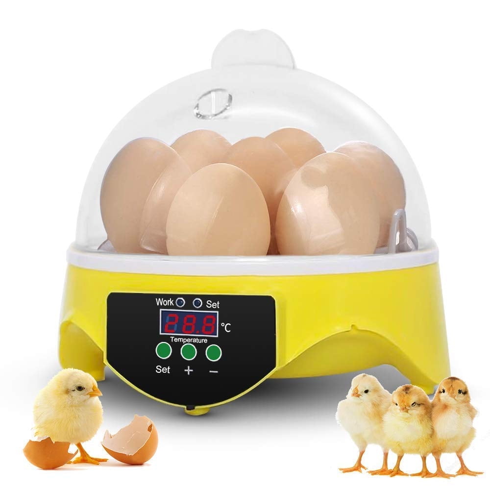 Private Jungle 7 Eggs Poultry Hatcher Machine with Temperature Control, General Digital Incubators Breeder for Hatching Chicken Duck Goose Quail Birds Turkey Egg