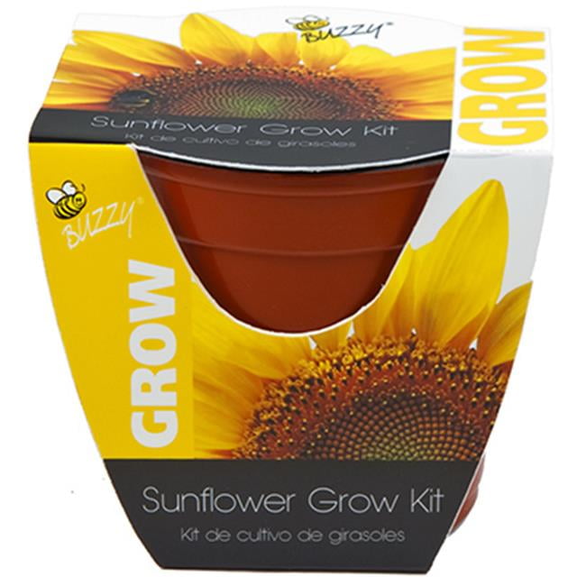 Buzzy 95532 4 in. Sunflower Plastic Grow Kit