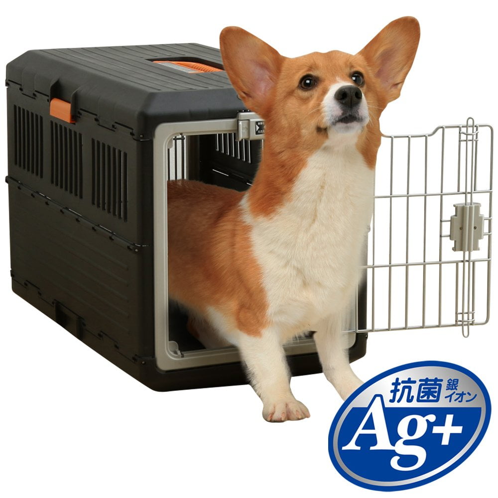 Iris pet carrier online
