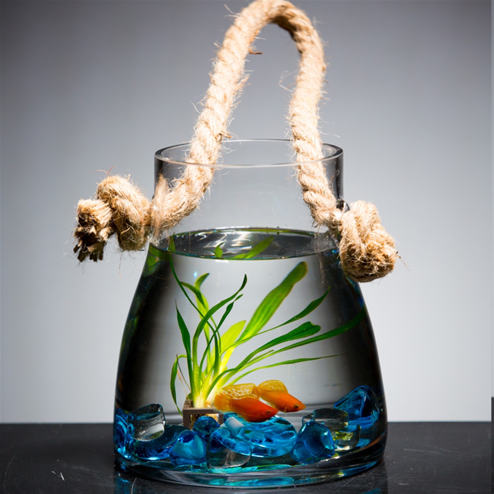 Hanging Indoor Outdoor Glass Fish Tank Living Room Small Wall-mounted Goldfish Aquarium