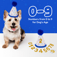 thumbnail image 6 of Pacific Pups Dog Birthday Party Supplies: Dog Bandanas, Girl Dog Birthday Hat, Birthday Dog Toy - Blue Paws, 6 of 8