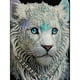 thumbnail image 1 of Pintura de diamante 5D DIY Kit de taladro en forma especial parcial Tiger Home Decor (WQ049) Hugtrwg Para estrenar, 1 of 9