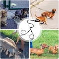 thumbnail image 3 of Doppelleine Für Zwei Hunde – Geteiltes Wanderlaufgeschirr Schwarz M Für Haustiere Unterwegs – Leine Für 2 Hunde, 3 of 5
