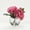 Pink, variant on D&W Silks Pink Peonies in Glass Cube