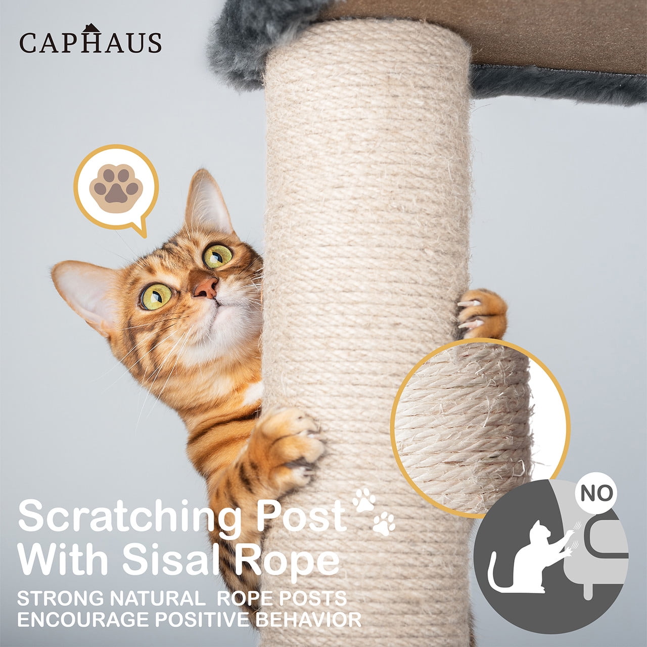 CAPHAUS Tall Cat Tree for Indoor Cats, Modern Cute 58-Inch Cat Climbing Play Tower with Top Perch for Large Cats Kittens, Multi-Level Cat Activity Tree w Scratching Posts, Hammock, Cat Cave Condo