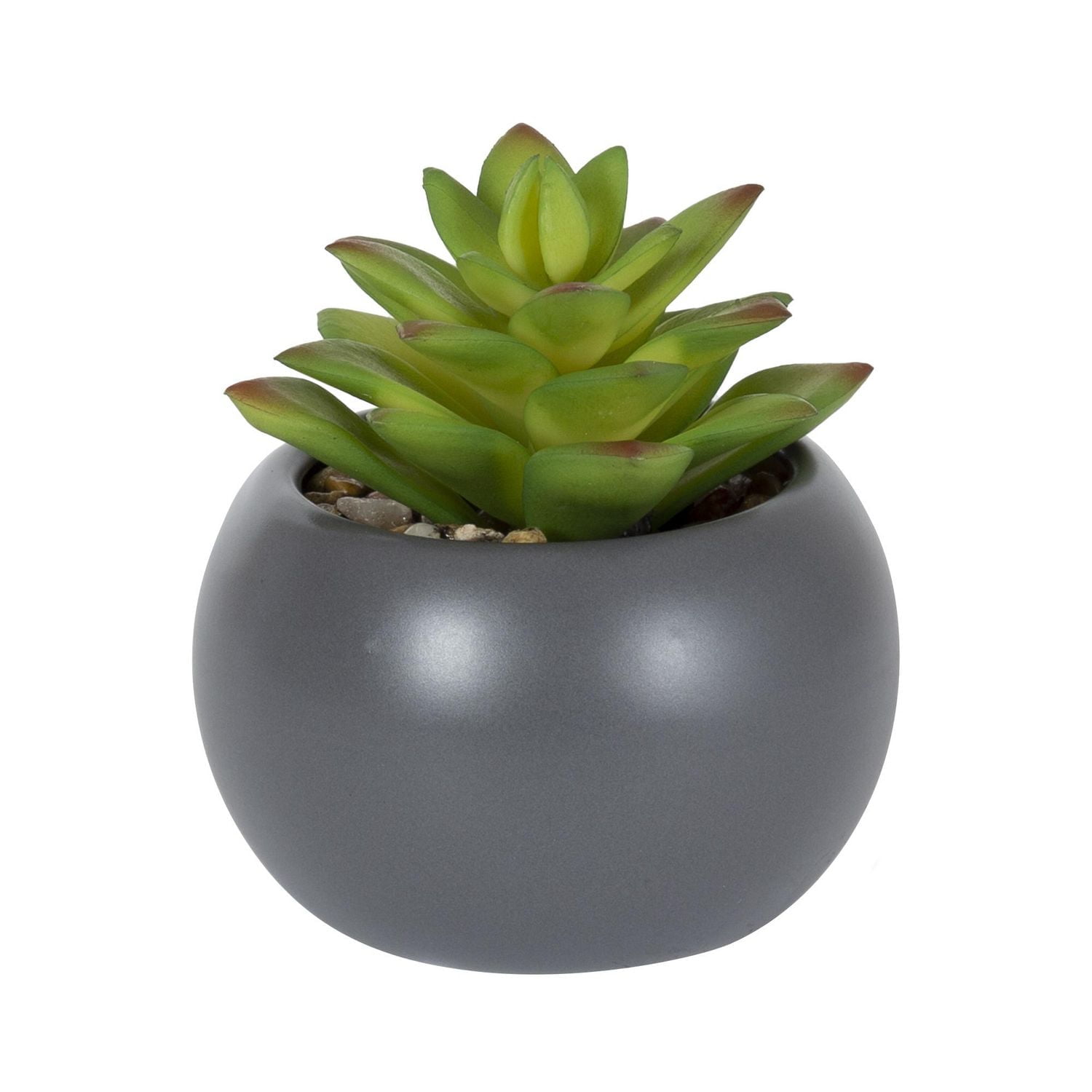 Plante grasse artificielle Kelvin dans un pot gris de hometrends