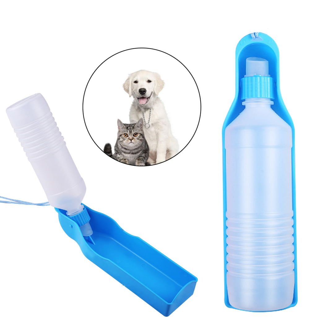 Dog drinking water bottle hotsell