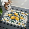thumbnail image 3 of 2x3 Ft Entryway Area Rug, Yellow Blue Lemon Kitchen Rug Runner Washable Floor Mat, Summer Botanical Watercolor Non Slip Indoor Door Mat Throw Carpet for Bathroom Living Room Bedroom, 3 of 8
