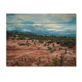 thumbnail image 3 of Designart "Tatacoa Desert In Colombia Arid Beauty" Landscapes Print on Natural Pine Wood, 3 of 5