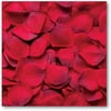 Best Occasions Red Rose Petals, 500 Count