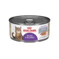thumbnail image 2 of ROYAL CANIN INTENSE BEAUTY WET LOAF LATA ROYAL CANIN ROYAL CANIN 145 GR, 2 of 2