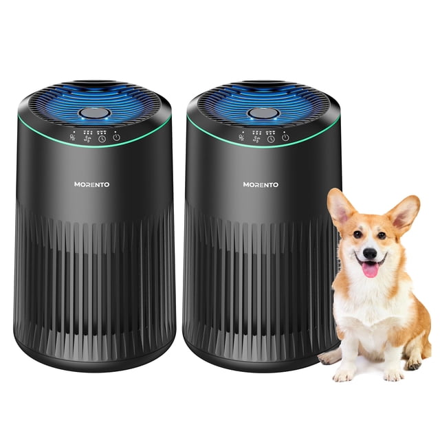 Air Purifiers for Bedroom Home with Sleep Mode for Smoke Pet Dander Odors, Small Air Purifier with Fragrance Sponge, Blue Ambient