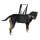 thumbnail image 1 of Arnés de transporte para perros con correa para la espalda, las piernas, la cadera y la rodilla, para ayudar a levantar la parte trasera del perro (negro), 1 of 6