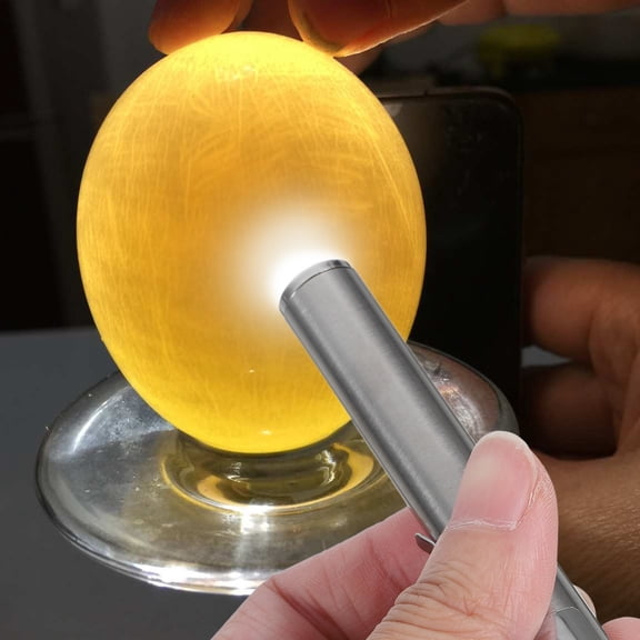 Pawsdot Egg Candling Light Egg Candler Stainless Steel for Farmers 1Pcs