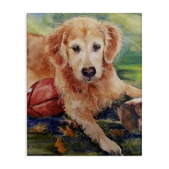 Stupell Industries Contemporary Retriever Dog with Football Canvas Art, 16 x 20, by MB Cunningham